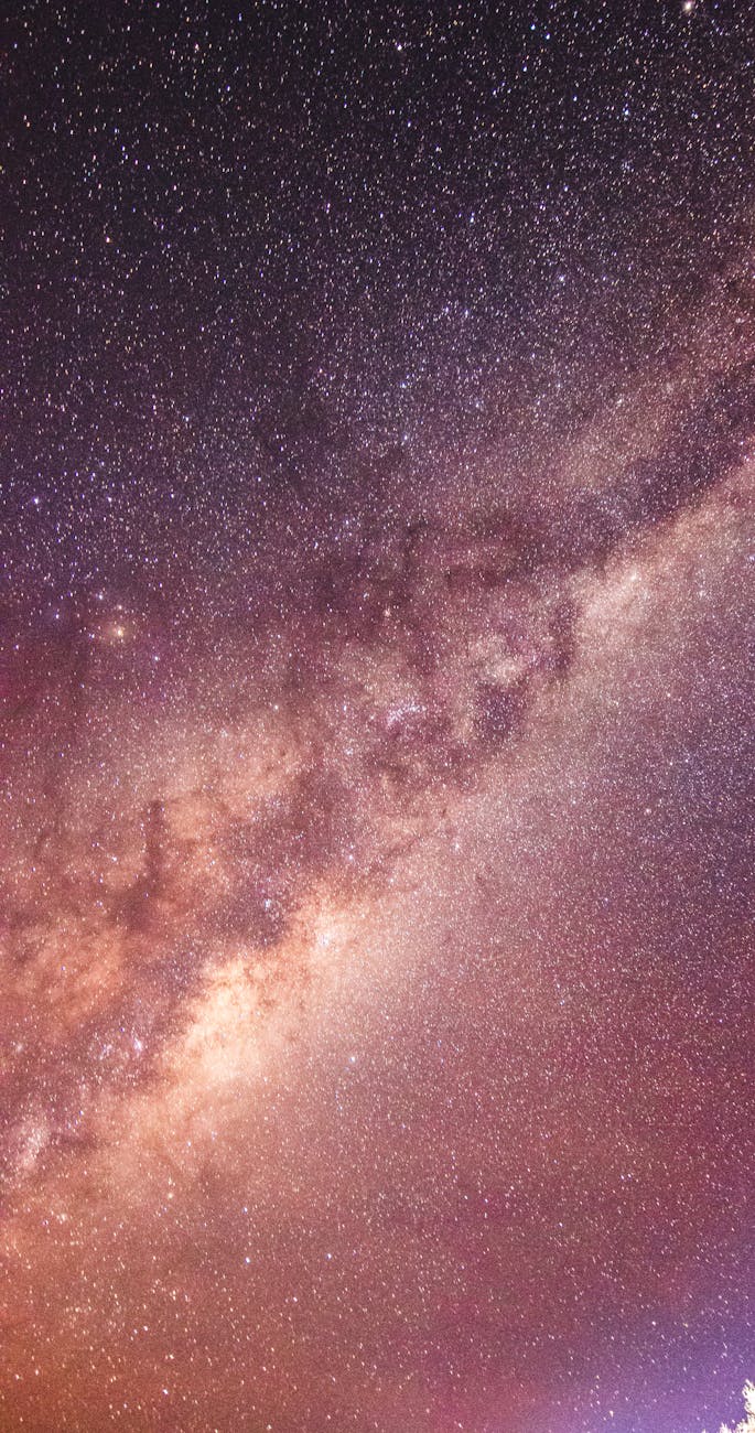 bright stars in the night sky