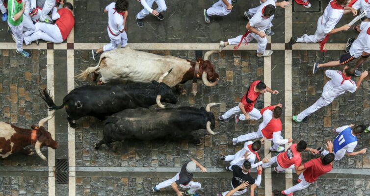 bird s eye view photography of bull surrounded with men