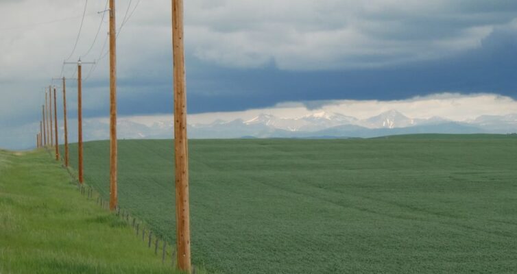 electricity poles in a row on a field